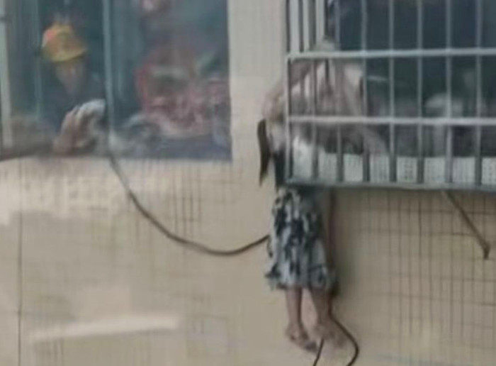 Nghe tiếng động lạ ngoài ban công, người phụ nữ mở cửa sổ thì phát hiện cảnh tượng sửng sốt Ảnh 3