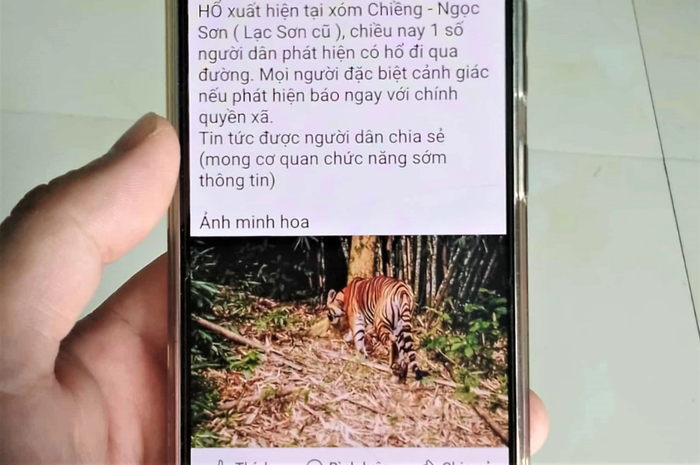 Thông tin trên mạng xã hội đăng tải nội dung xuất hiện cá thể hổ ở xóm Chiềng, xã Ngọc Sơn, tỉnh Phú Thọ gây xôn xao. (Nguồn: Dân trí)