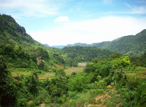 Khu bảo tồn thiên nhiên Ngọc Sơn – Ngổ Luông. (Nguồn: Cục BTTN & ĐDSH)