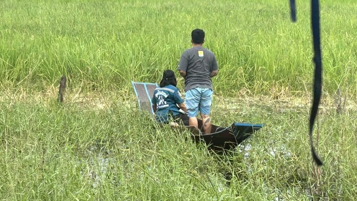 Ngửi thấy mùi hôi nồng nặc ngoài ruộng, người dân chèo thuyền đi kiểm tra thì 'tái mặt' vì cảnh tượng sau đó Ảnh 2