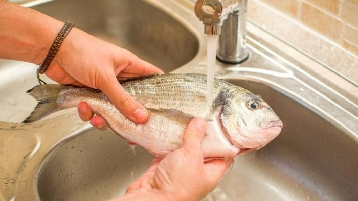 Việc sơ chế cá đóng vai trò quan trọng, giúp giảm mùi tanh lại loại bỏ những phần độc hại. (Ảnh minh họa)