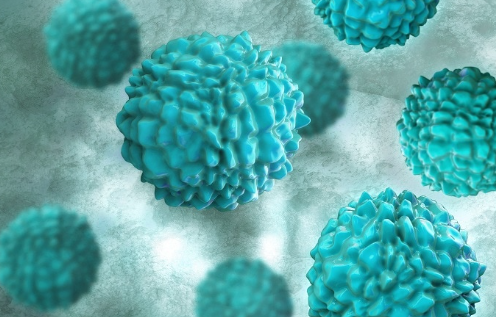 Hơn 400 sinh viên bỗng dưng mắc cùng một căn bệnh, nhà trường khẩn cấp xử lý Ảnh 3