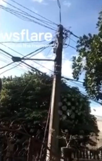 Cảnh tượng kinh hoàng trên cột điện giữa ban ngày, người dân kéo nhau đến xem Ảnh 3