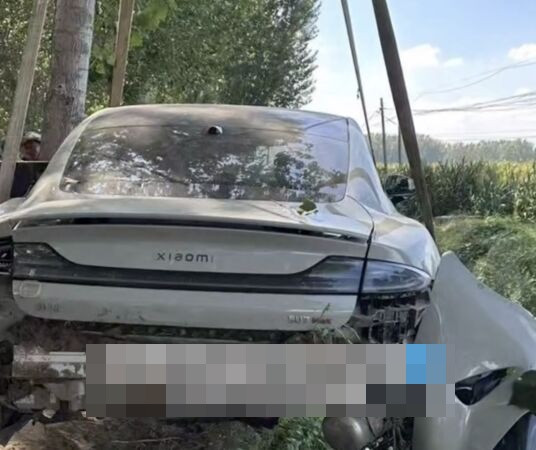 Cho bạn mượn xe hơi điện để chạy thử, 10 phút sau nhận được cuộc gọi khiến người đàn ông bàng hoàng Ảnh 2