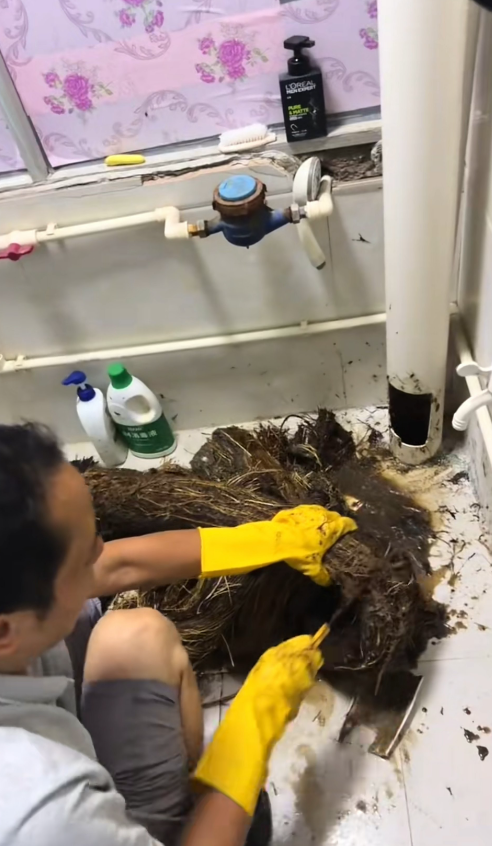 Ống thoát nước bị tắc nghẽn, chủ nhà hoảng hốt sau khi phát hiện thứ mắc kẹt bên trong Ảnh 3