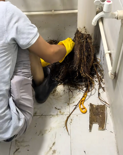 Ống thoát nước bị tắc nghẽn, chủ nhà hoảng hốt sau khi phát hiện thứ mắc kẹt bên trong Ảnh 2