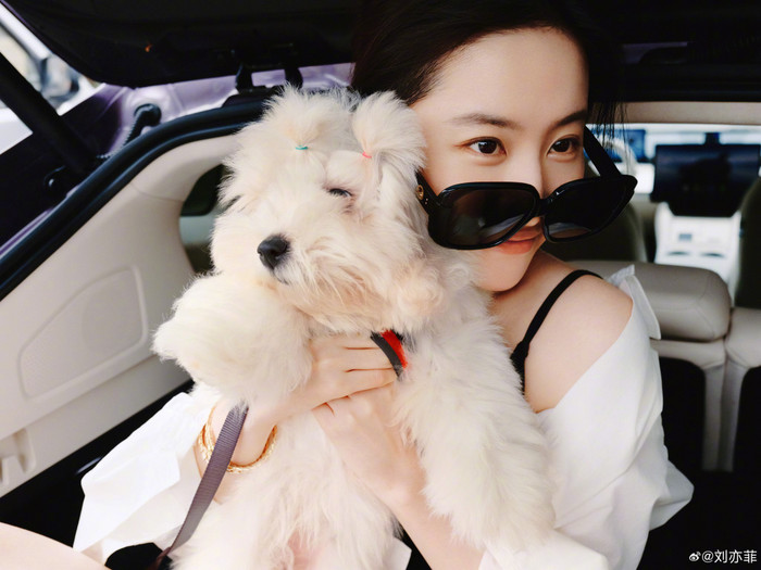 Lưu Diệc Phi vui vẻ tận hưởng cuộc sống độc thân ở biệt thự sang chảnh và nuôi nhiều thú cưng. Ảnh: Weibo