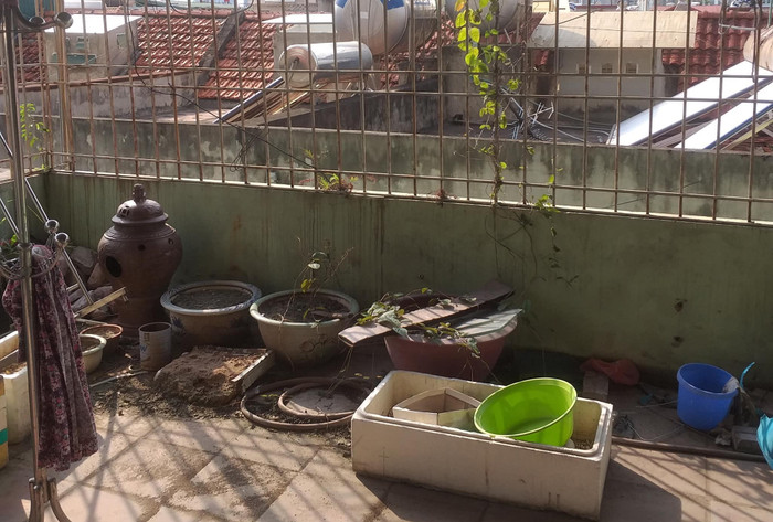 Ảnh minh họa (Internet).