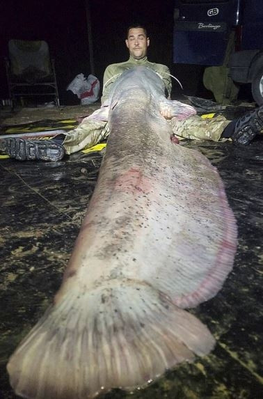 Đi câu cá với bạn, người đàn ông bắt được con 'thủy quái' khổng lồ, cân nặng khó tin Ảnh 2