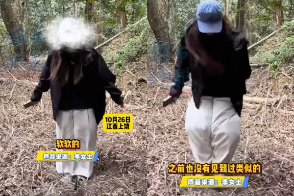 Vô tư nhún nhảy trên nền đất mềm giữa rừng, cô gái hoảng hồn khi phát hiện sự thật Ảnh 2