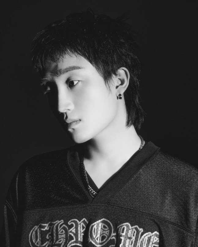 Nam rapper D.Ark là nghệ sĩ trẻ tài năng của Hàn Quốc, được kỳ vọng sẽ phát triển hơn trong tương lai (Ảnh: ISNV).