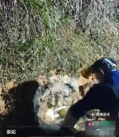 Người đàn ông bị rắn cạp nong cắn khi livestream bắt rắn, mất tích rồi trở về nhà đầy kỳ lạ Ảnh 1