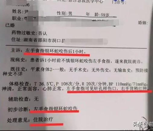 Người đàn ông bị rắn cạp nong cắn khi livestream bắt rắn, mất tích rồi trở về nhà đầy kỳ lạ Ảnh 2