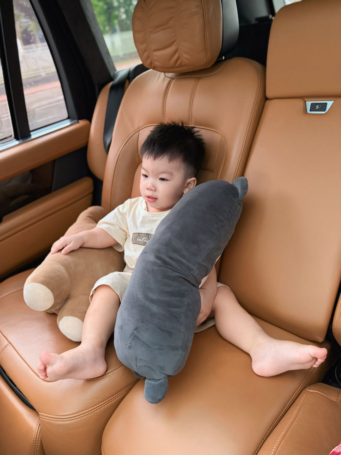 Chu Thanh Huyền cũng đã từng đăng loạt ảnh lộ nội thất bên trong xe Land Rover Defender. (Ảnh: FBNV)