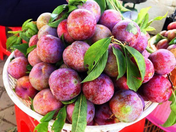 Những loại trái cây giúp mẹ bầu cải thiện táo bón Ảnh 5