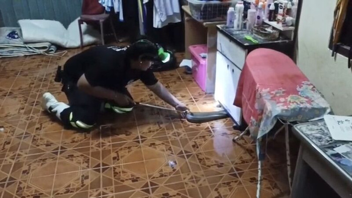 Thấy con mèo nhìn chằm chằm dưới gầm kệ, chủ nhà cúi xuống kiểm tra thì phát hiện cảnh tượng kinh hoàng Ảnh 1