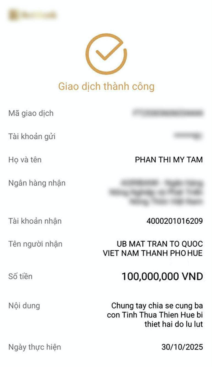 Mỹ Tâm đã ủng hộ nhân dân Thành phố Huế 100 triệu đồng (Ảnh: FBNV).