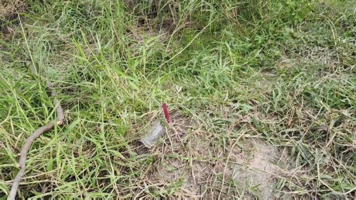 Con gái 59 tuổi tử vong khi đi bắt cá nuôi mẹ già, hiện trường tìm thấy đầy đau lòng Ảnh 3