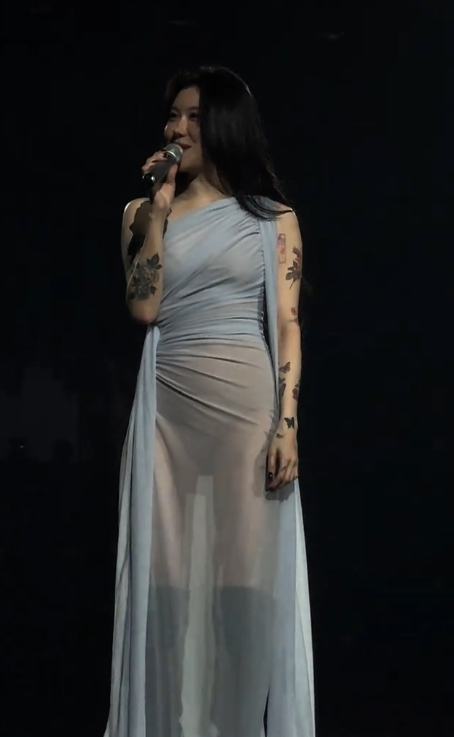 Nữ ca sĩ mặc váy mỏng hơn giấy lộ hết nội y, khán giả ngồi xem 'ngượng chín mặt' Ảnh 3