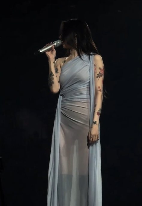 Nữ ca sĩ mặc váy mỏng hơn giấy lộ hết nội y, khán giả ngồi xem 'ngượng chín mặt' Ảnh 2