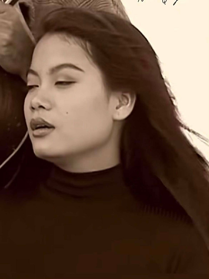 Mối quan hệ đặc biệt giữa Trương Ngọc Ánh và ca sĩ Như Quỳnh Ảnh 2