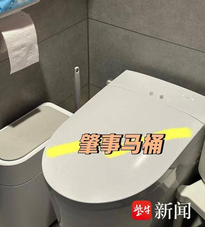 Chiếc bồn cầu trong sự việc (Ziniu).