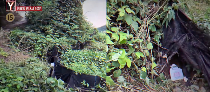 Hiện trường nơi xảy ra vụ án mạng.