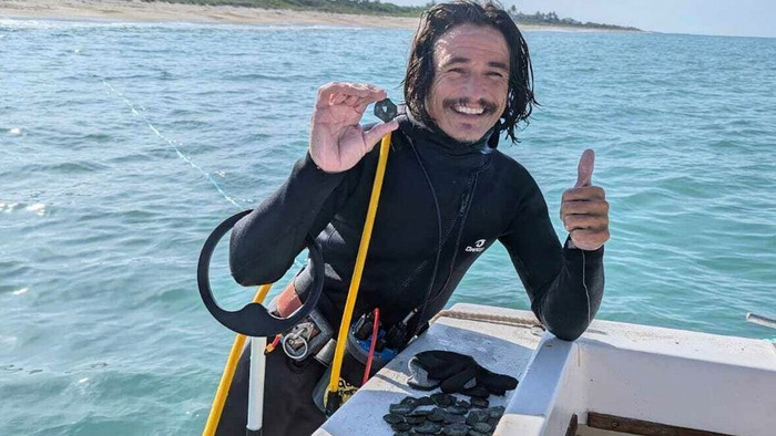 Trong bức ảnh không đề ngày tháng do công ty cứu hộ tàu đắm 1715 Fleet-Queens Jewels, LLC cung cấp, thợ lặn Levin Shavers cho thấy những đồng tiền xu được tìm thấy từ một con tàu đắm của Tây Ban Nha ngoài khơi bờ biển Đại Tây Dương của Florida. (LLC qua AP).