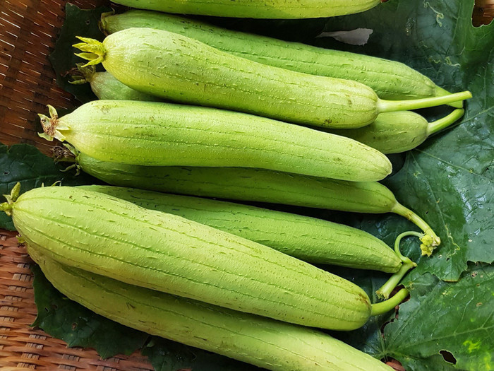 Mướp vào mùa thu thường bị già, nhiều sợi xơ cứng. Ảnh minh họa. (Nguồn: meatboxvietnam)