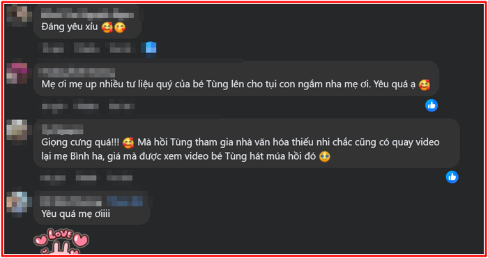 Mẹ ruột Sơn Tùng khiến cộng đồng mạng 'dậy sóng' Ảnh 6