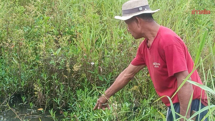 Đi câu cá, người đàn ông phát hiện bộ hài cốt khiến dân làng bàng hoàng Ảnh 3