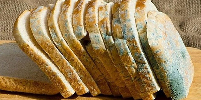 Ăn thực phẩm đã bị mốc cũng có nguy cơ mắc ung thư. (Ảnh minh họa)