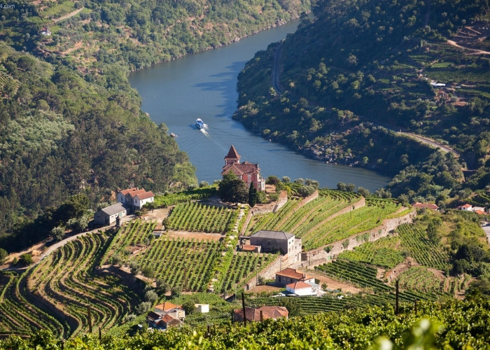 Sự thơ mộng của ruộng bậc thang ở Bồ Đào Nha.