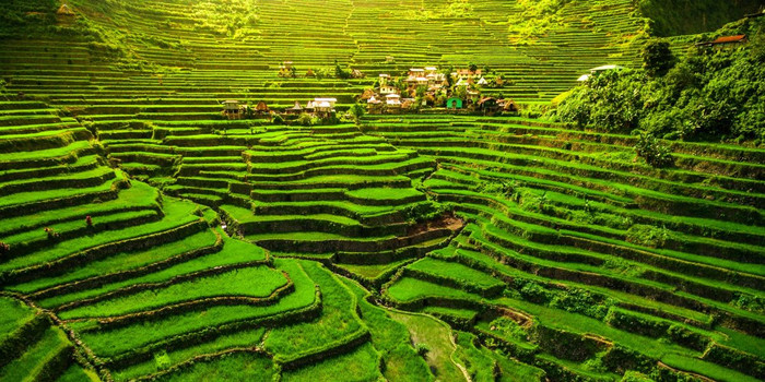 Ngất ngây trước khung cảnh của Banaue.