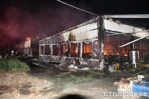 Trại ngỗng bốc cháy khiến 2.000 con chết thảm, thiệt hại hơn hàng chục tỷ đồng Ảnh 2