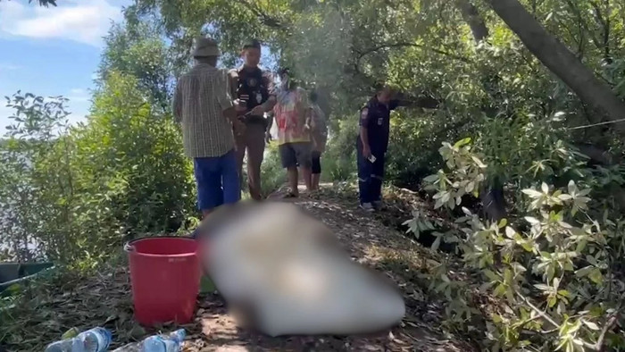 Cắt tỉa cành cây, người đàn ông 39 tuổi tử vong sau khi bị kiến cắn Ảnh 2