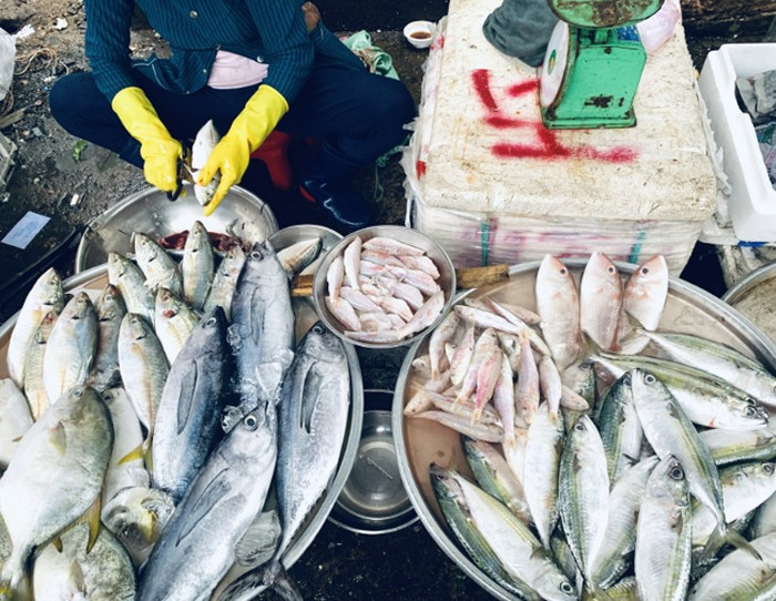 Nếu mắt cá lõm sâu, đục mờ, mang chuyển sang màu nâu hoặc thâm đen, đây là dấu hiệu cá đã chết lâu hoặc bị ươn. (Ảnh minh họa)