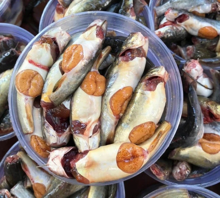 Cá chốt trứng được nhiều người sành ăn săn lùng. (Ảnh minh họa)