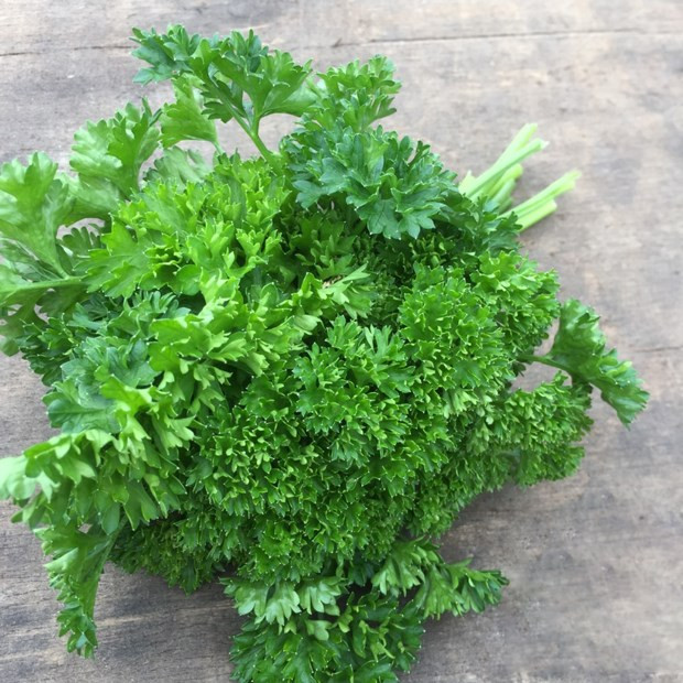 Mùi tây là loại rau được Mỹ xếp vào nhóm tốt nhất thế giới, có lợi cho sức khỏe. (Ảnh minh họa từ Internet)