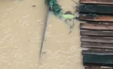 Con 'quái vật' bị nước lũ cuốn vào ngôi làng, người dân hoảng hồn khi chứng kiến Ảnh 1