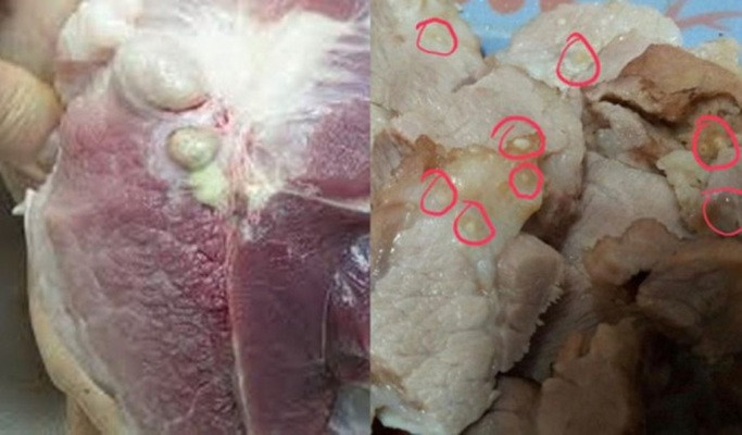 Không tiêu thụ thịt heo ôi, thịt bệnh vì gây hại sức khỏe. (Ảnh minh họa từ Internet)