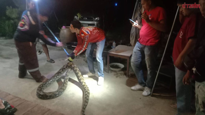 Con trăn khổng lồ nặng 50kg chui vào nhà dân tránh lũ, cả làng náo loạn Ảnh 2