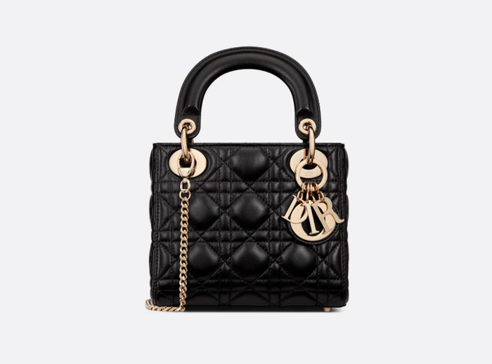 Mẫu túi của Hòa Minzy. (Nguồn: Dior)