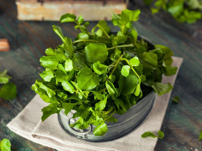 Loại rau Việt Nam được đánh giá tốt nhất thế giới về chống bệnh K, chợ bán chỉ 10 nghìn đồng/bó Ảnh 3