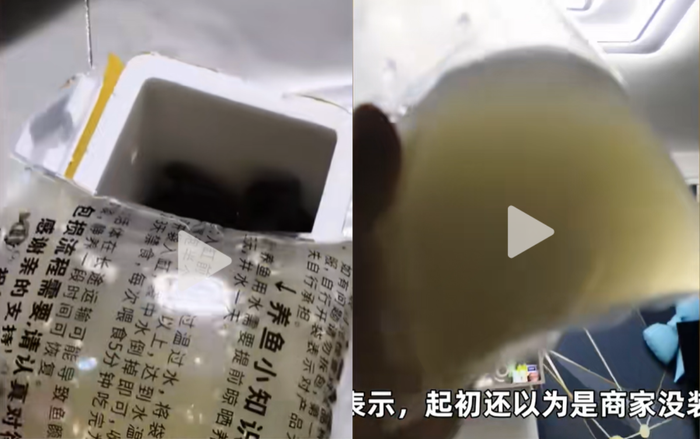 Mua 50 con cá cảnh trên mạng, người đàn ông sửng sốt khi mở gói hàng Ảnh 1