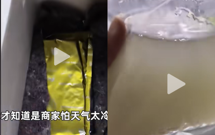 Mua 50 con cá cảnh trên mạng, người đàn ông sửng sốt khi mở gói hàng Ảnh 2