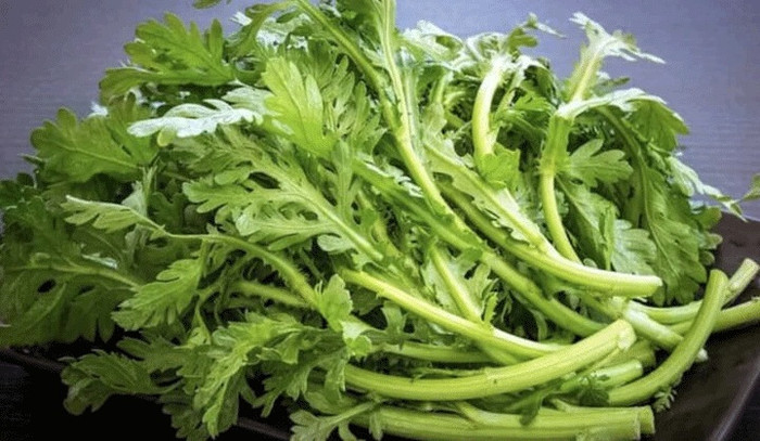 Cải cúc là loại rau giàu dinh dưỡng, đặc biệt là chứa nhiều canxi và chất sắt. (Ảnh minh họa từ Internet)
