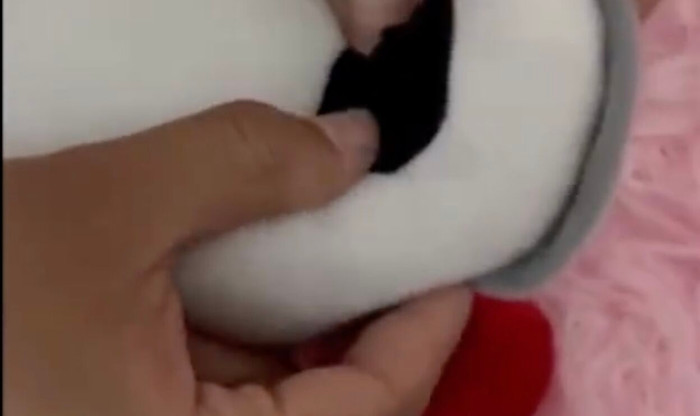 Mua gấu bông trên mạng, người phụ nữ 'lạnh sống lưng' khi phát hiện thứ được giấu bên trong Ảnh 2