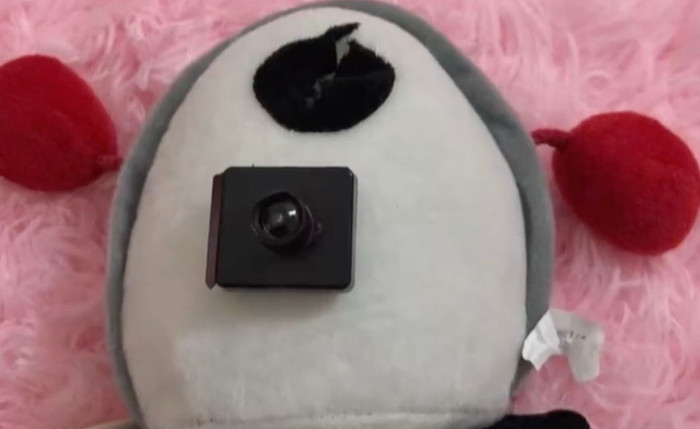 Mua gấu bông trên mạng, người phụ nữ 'lạnh sống lưng' khi phát hiện thứ được giấu bên trong Ảnh 3