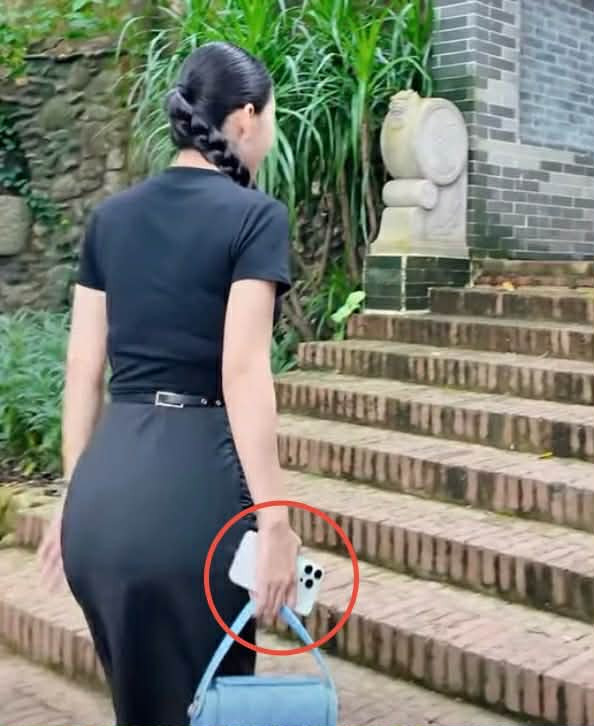 Hằng Du Mục và chiếc điện thoại trị giá 8 chữ số. Ảnh chụp màn hình